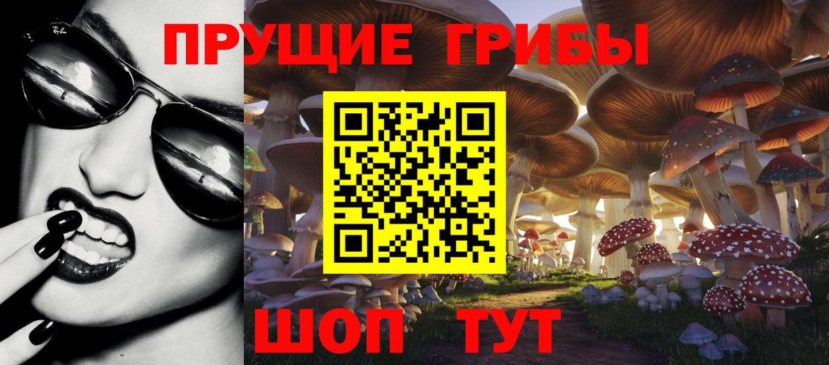 Белебей  Галлюциногенные грибы GOLDEN TEACHER  Галлюциногенные грибы мицелий  наркота  Вход с VPN 